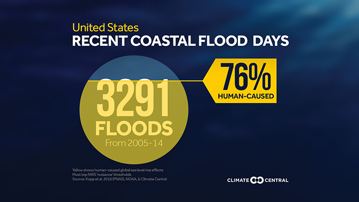 Localized Flood Graphic - Percentage of human caused coastal floods